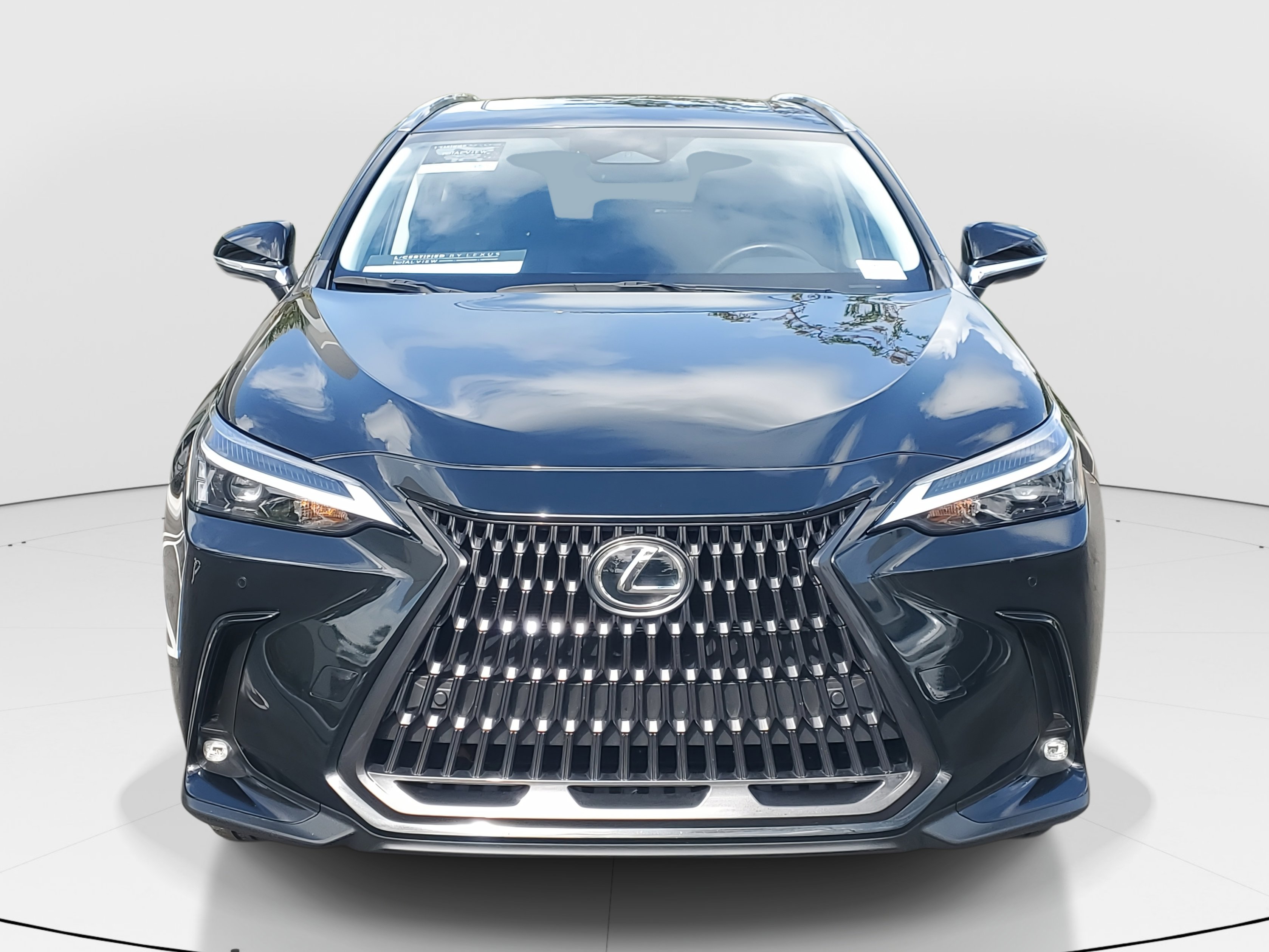 2024 Lexus NX 350 Premium photo 3