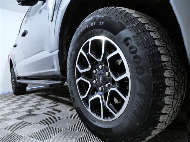 Certified 2023 Ford F-150 XLT with VIN 1FTFW1E80PKD38977 for sale in Apple Valley, Minnesota