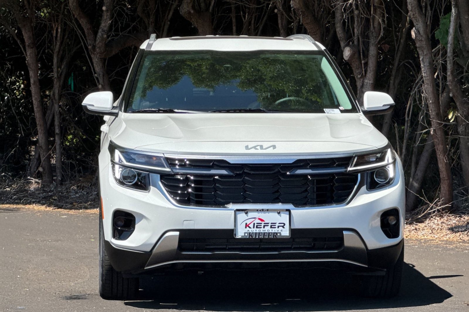 2026 Kia Seltos EX photo 5