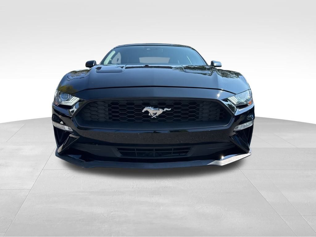 2021 Ford Mustang EcoBoost Premium photo 3