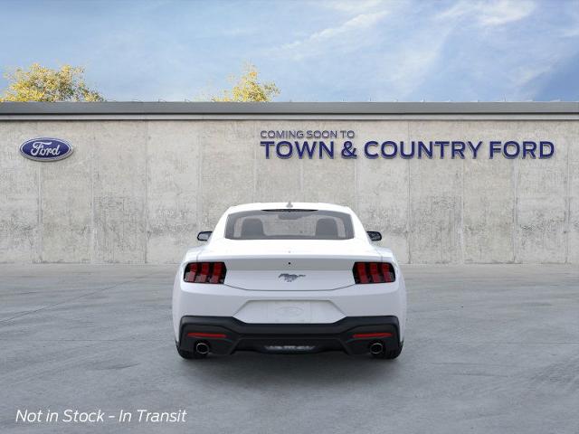 2025 Ford Mustang EcoBoost photo 14