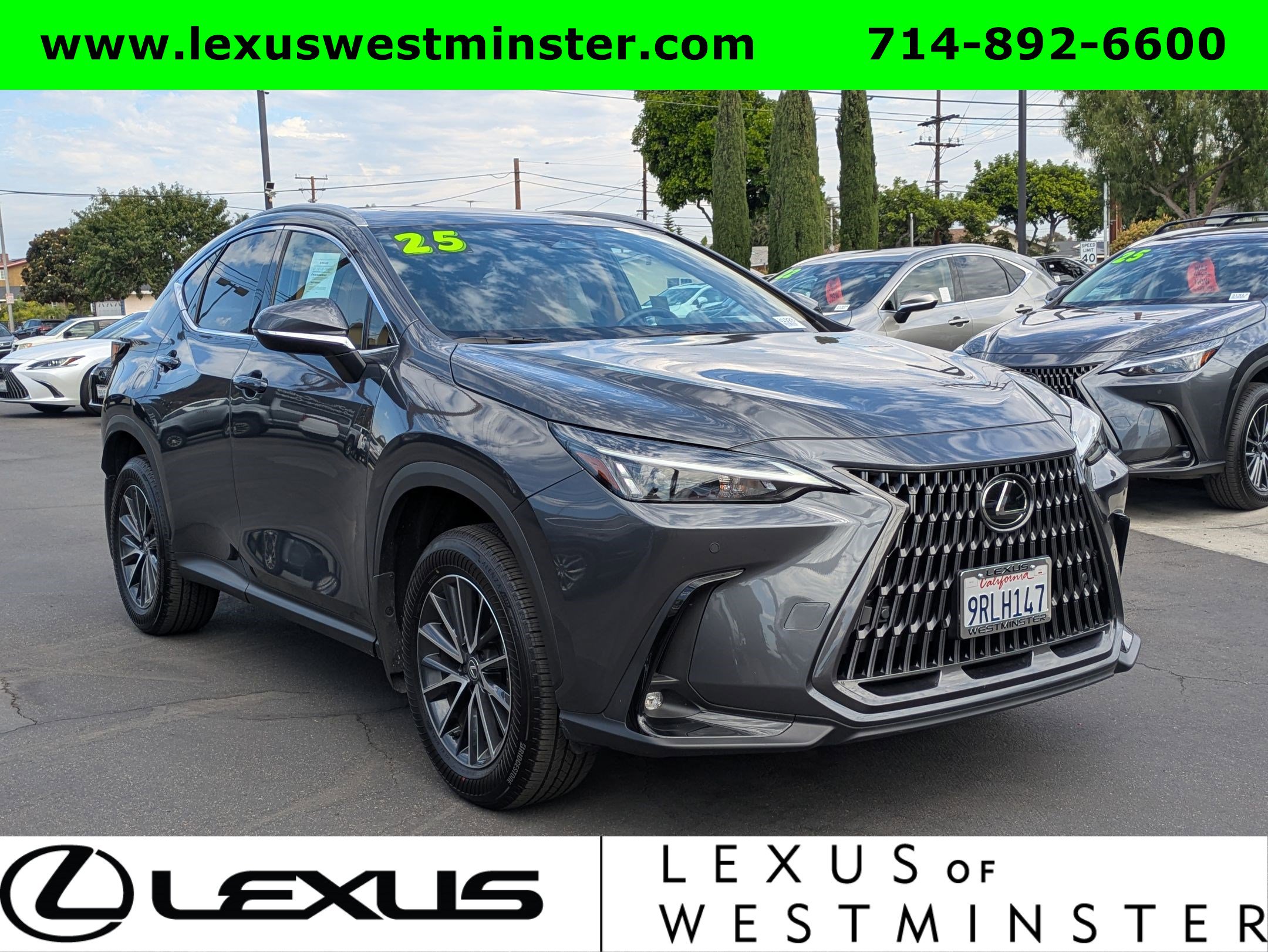 2025 Lexus NX 350h Premium photo 2