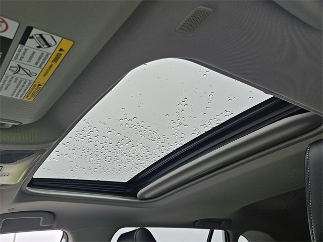 2023 Toyota RAV4 Hybrid XLE Premium photo 28