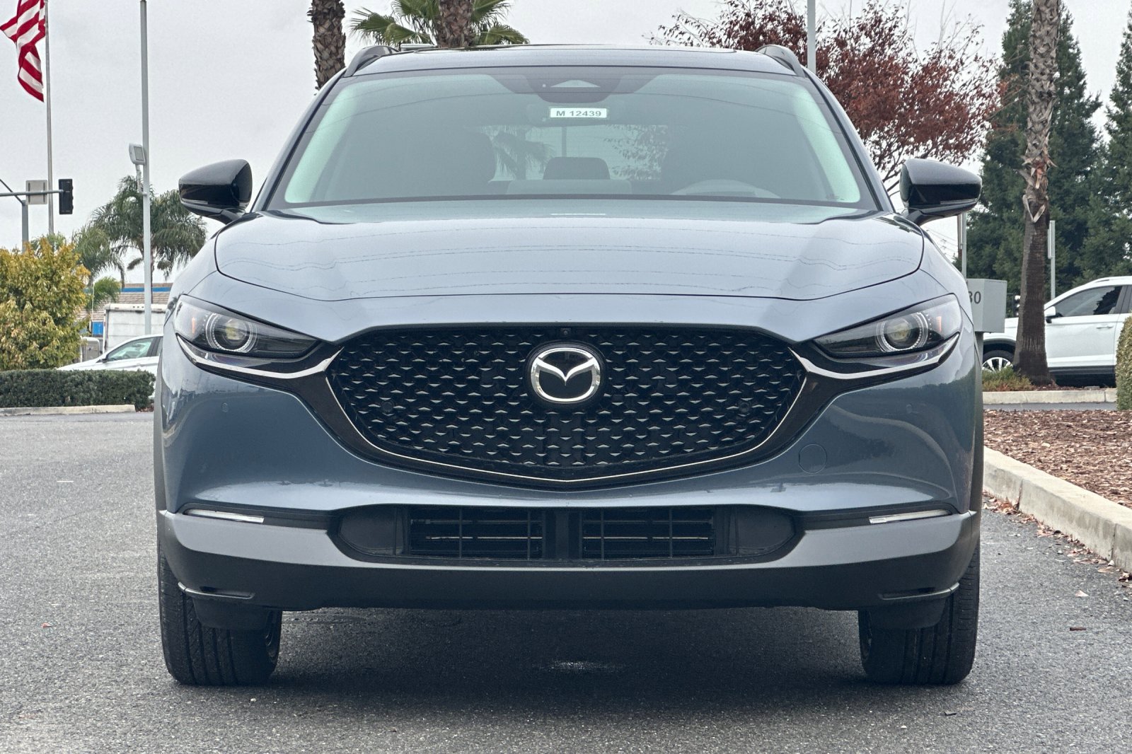 2025 Mazda CX-30 2.5 Turbo Premium Plus photo 9