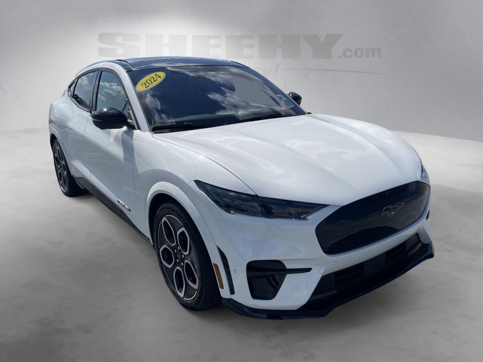 2024 Ford Mustang Mach-E GT photo 2