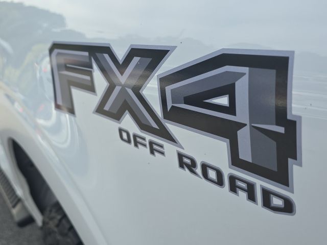 2021 Ford F-150 XLT photo 11