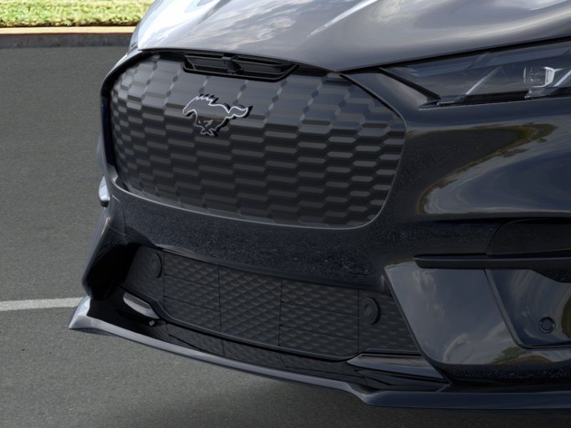 2025 Ford Mustang Mach-E GT photo 14
