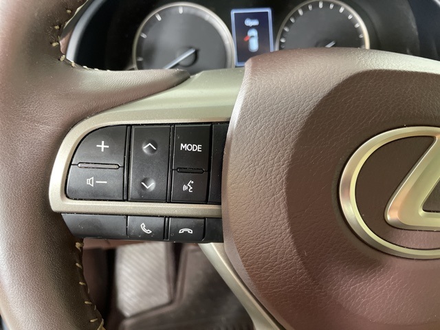 2019 Lexus RX 350 photo 18