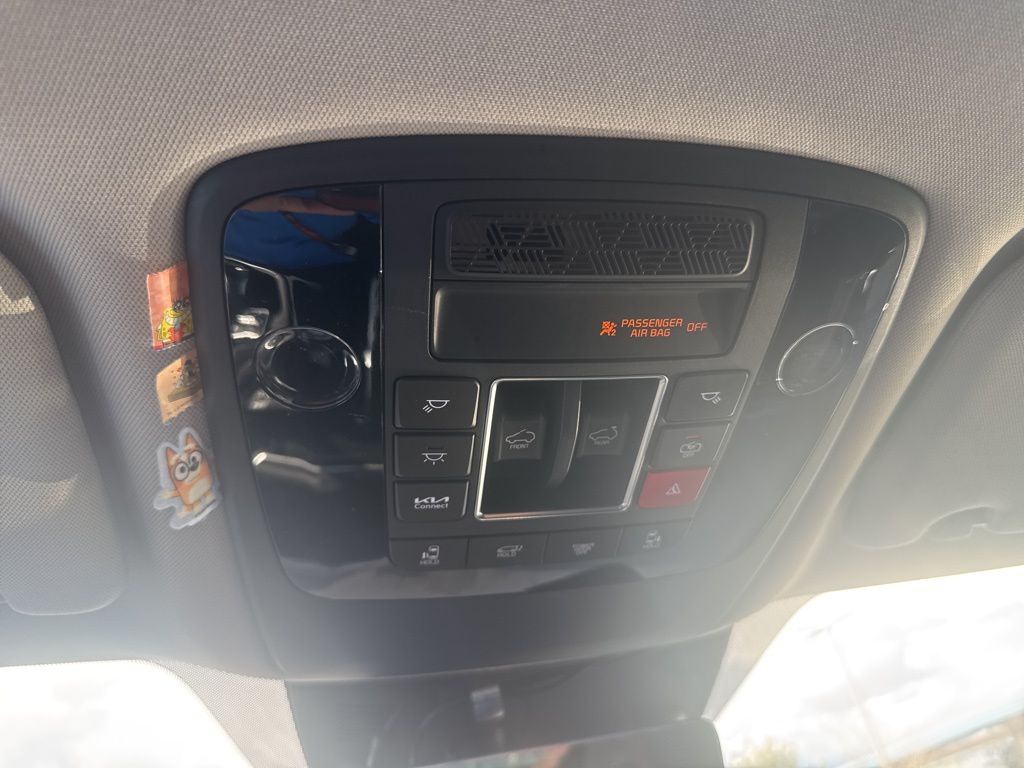 2025 Kia Carnival SX Prestige photo 14