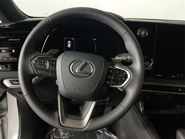 2024 Lexus RX 350 photo 10