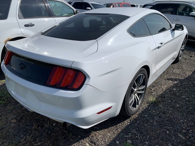 2016 Ford Mustang EcoBoost photo 3