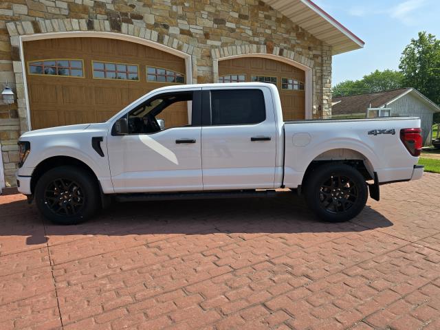 2025 Ford F-150 STX photo 5