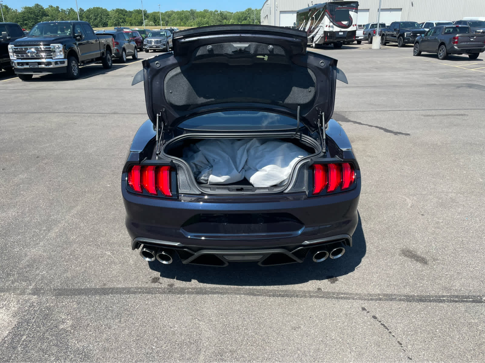 2022 Ford Mustang Mach 1 photo 10