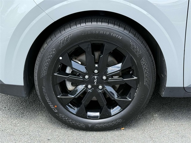 2024 Kia Carnival SX photo 10