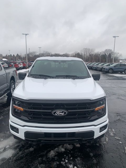 2025 Ford F-150 XLT photo 4