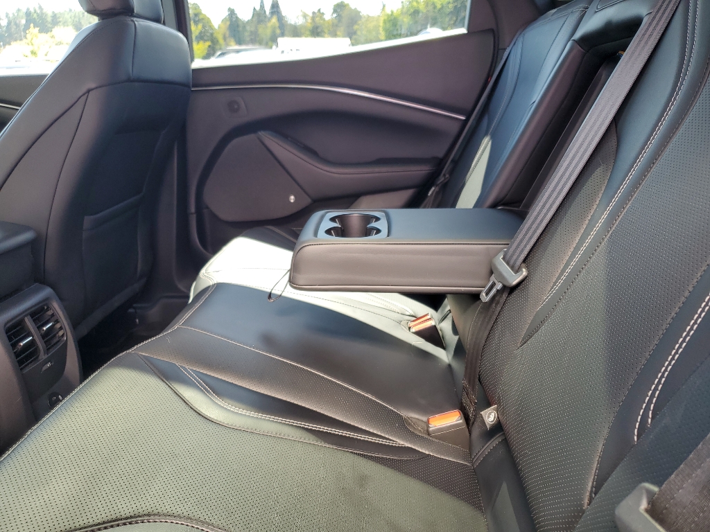 2021 Ford Mustang Mach-E Premium photo 12