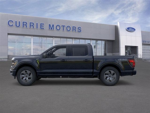2025 Ford F-150 STX photo 3