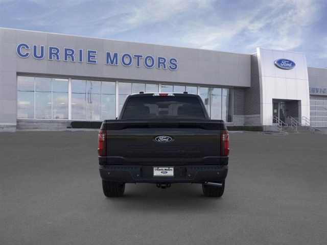 2025 FORD F-150 - Image 27