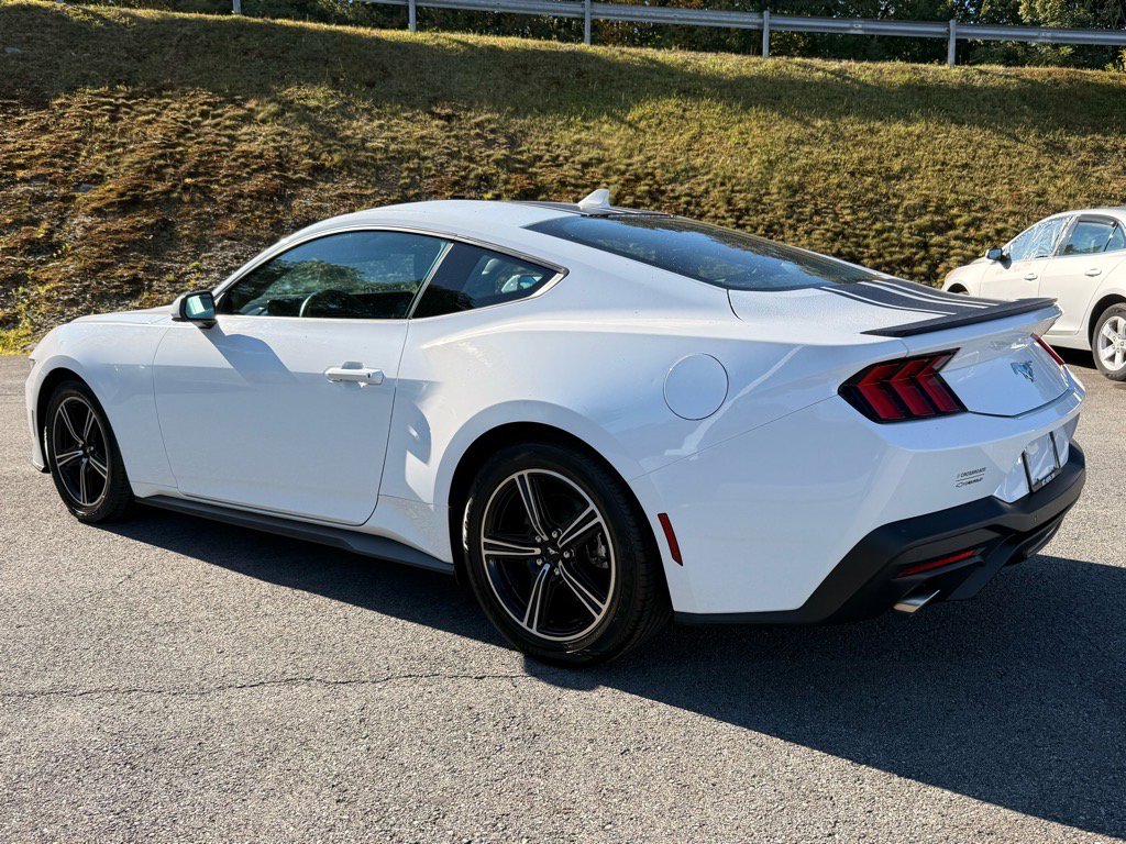 2024 Ford Mustang EcoBoost Premium photo 3