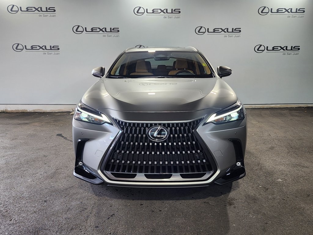 2025 Lexus NX 350 photo 2