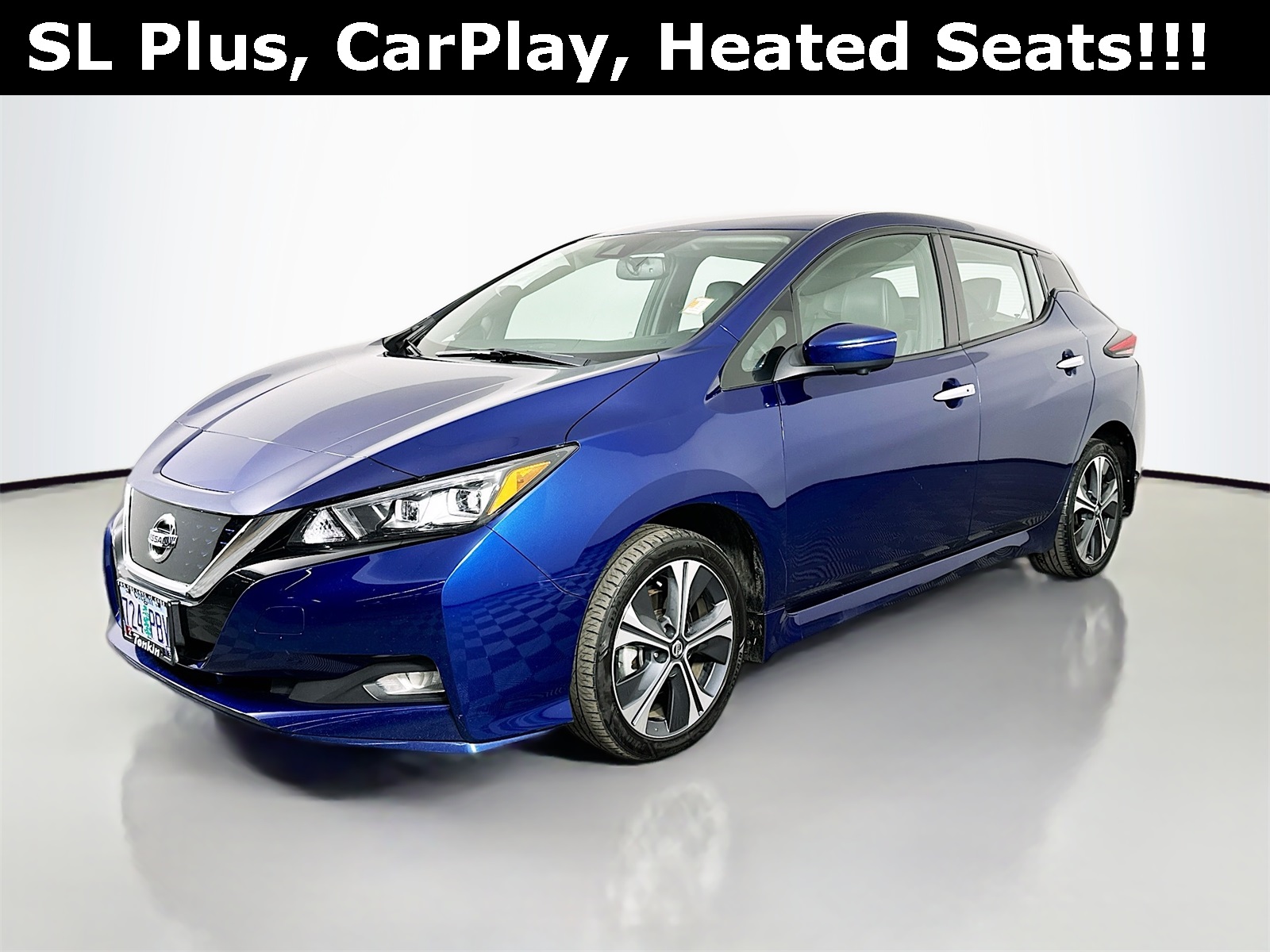 2020 Nissan Leaf SL Plus photo 3