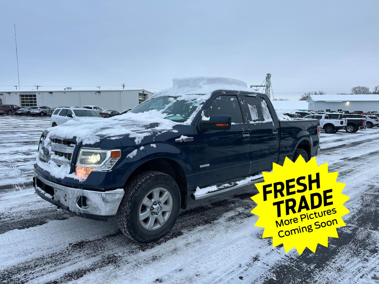 2014 Ford F-150 Limited's photo