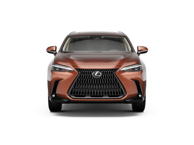 2026 Lexus NX 350h Premium photo 4