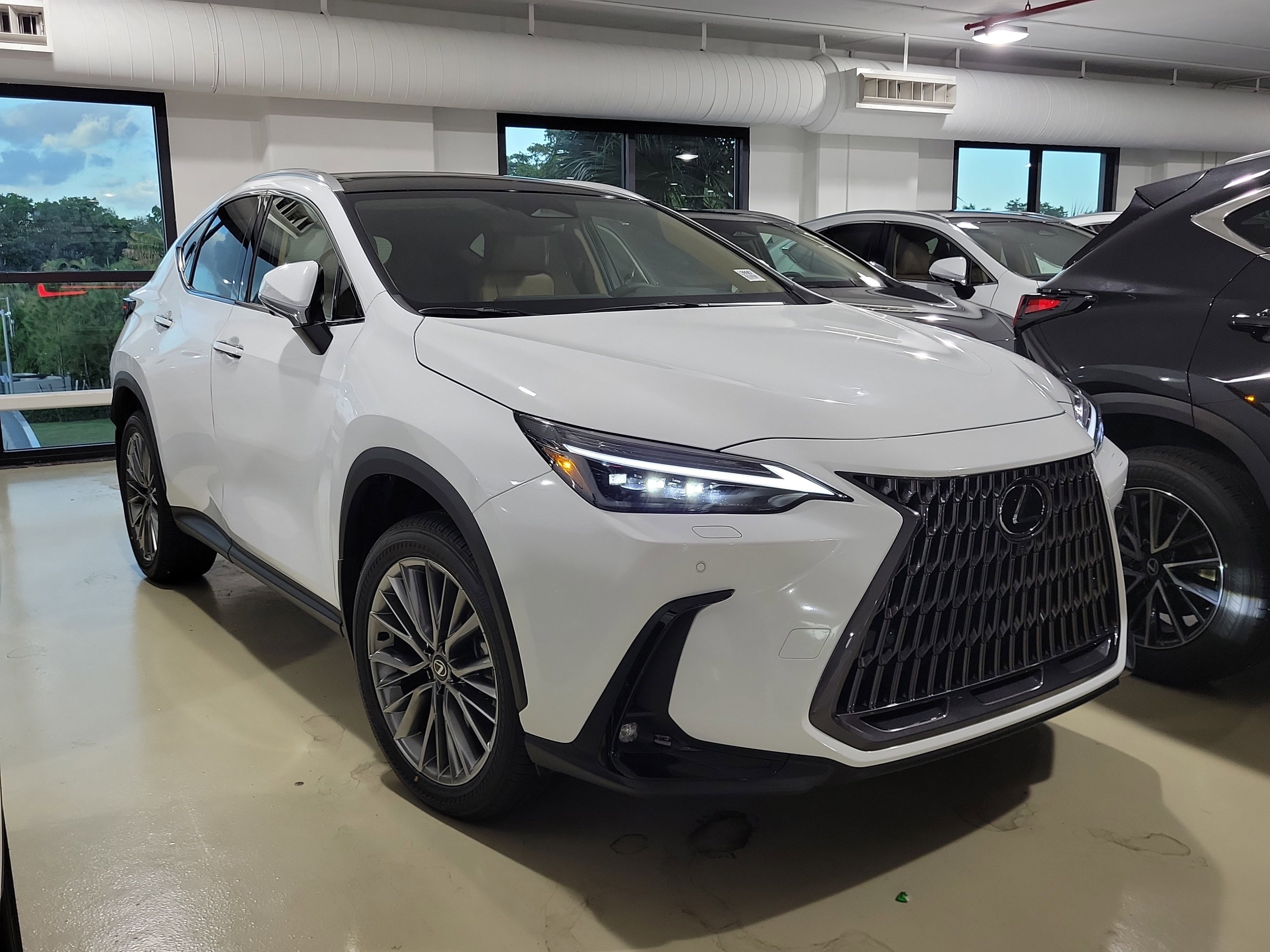 2026 Lexus NX 350's photo
