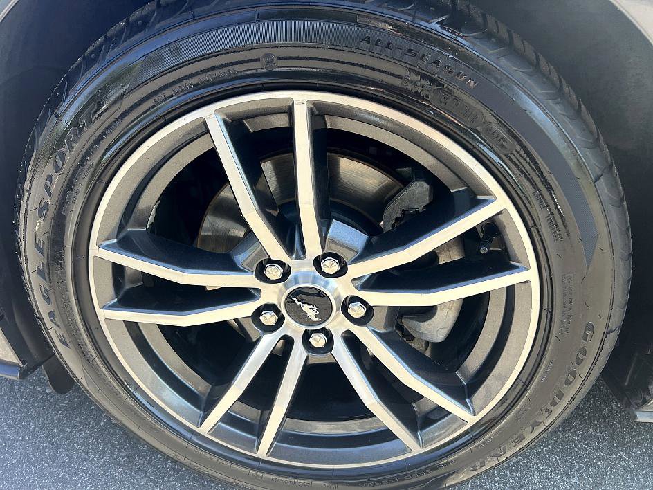 2019 Ford Mustang EcoBoost Premium photo 9