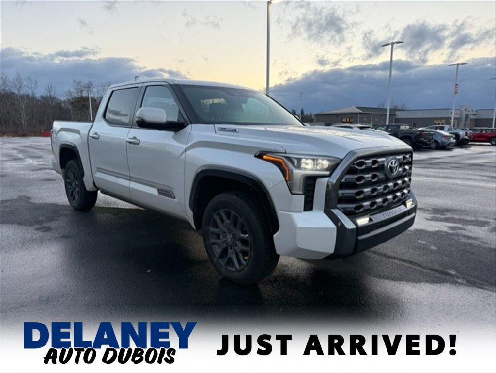 2025 Toyota Tundra Platinum's photo