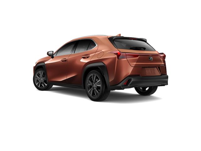 2025 Lexus UX photo 3