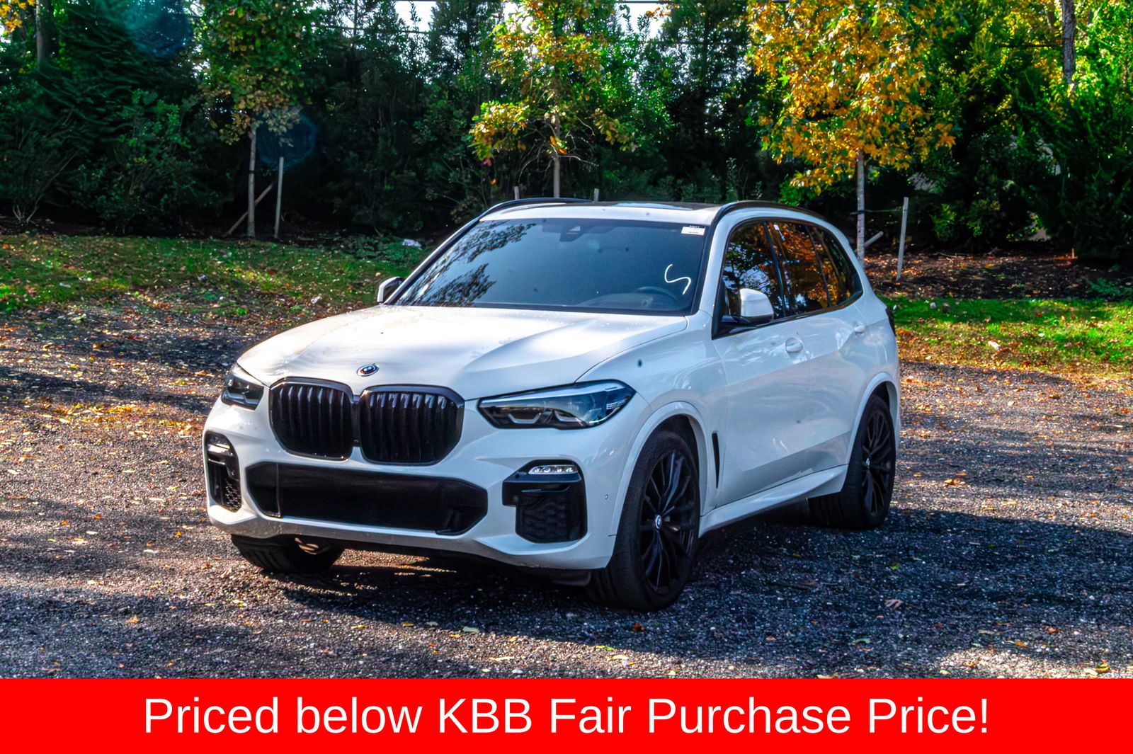 2021 BMW X5 40i's photo