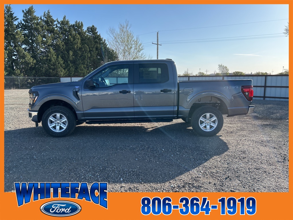2025 Ford F-150 XL photo 3