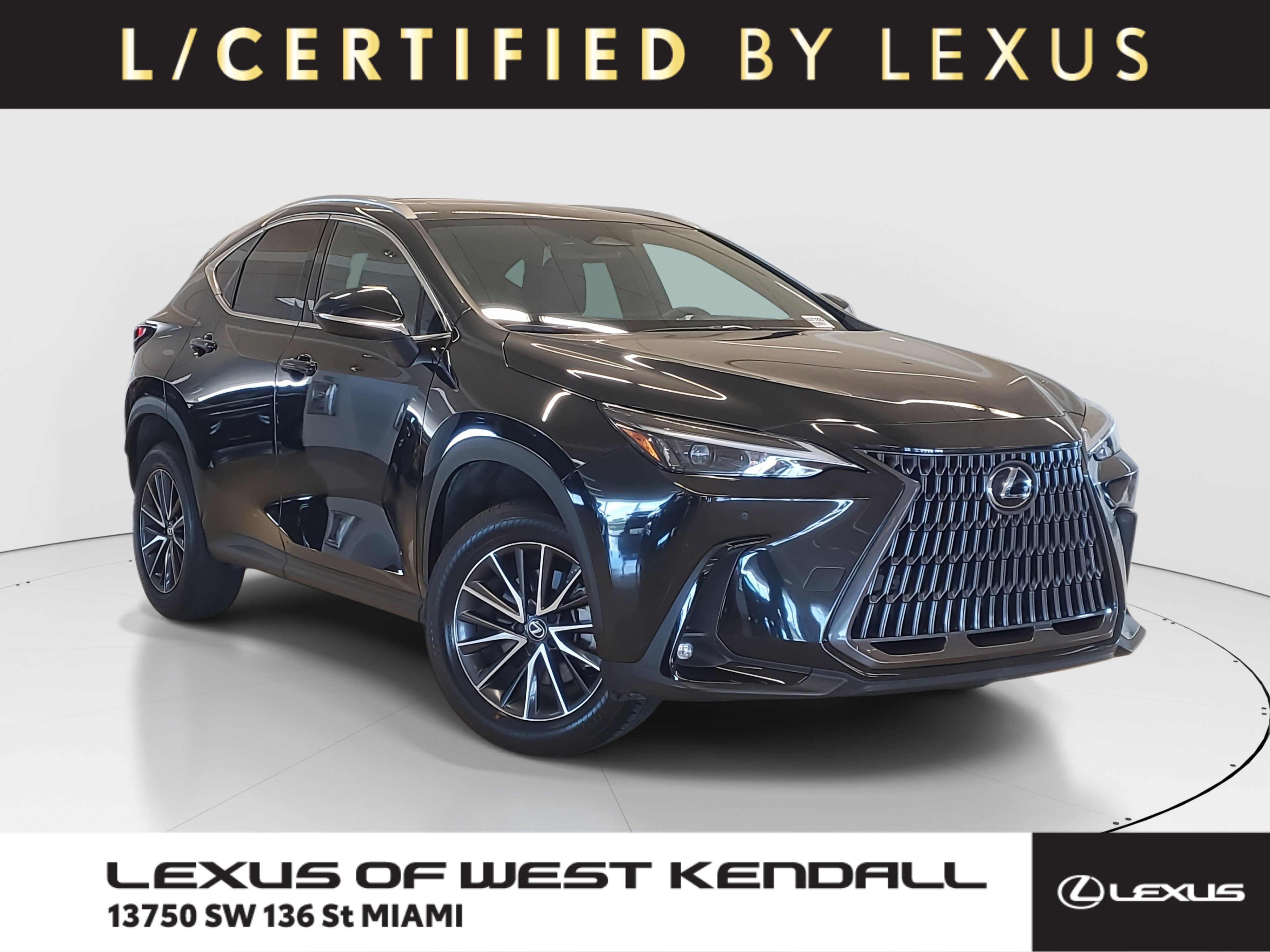2023 Lexus NX 350's photo