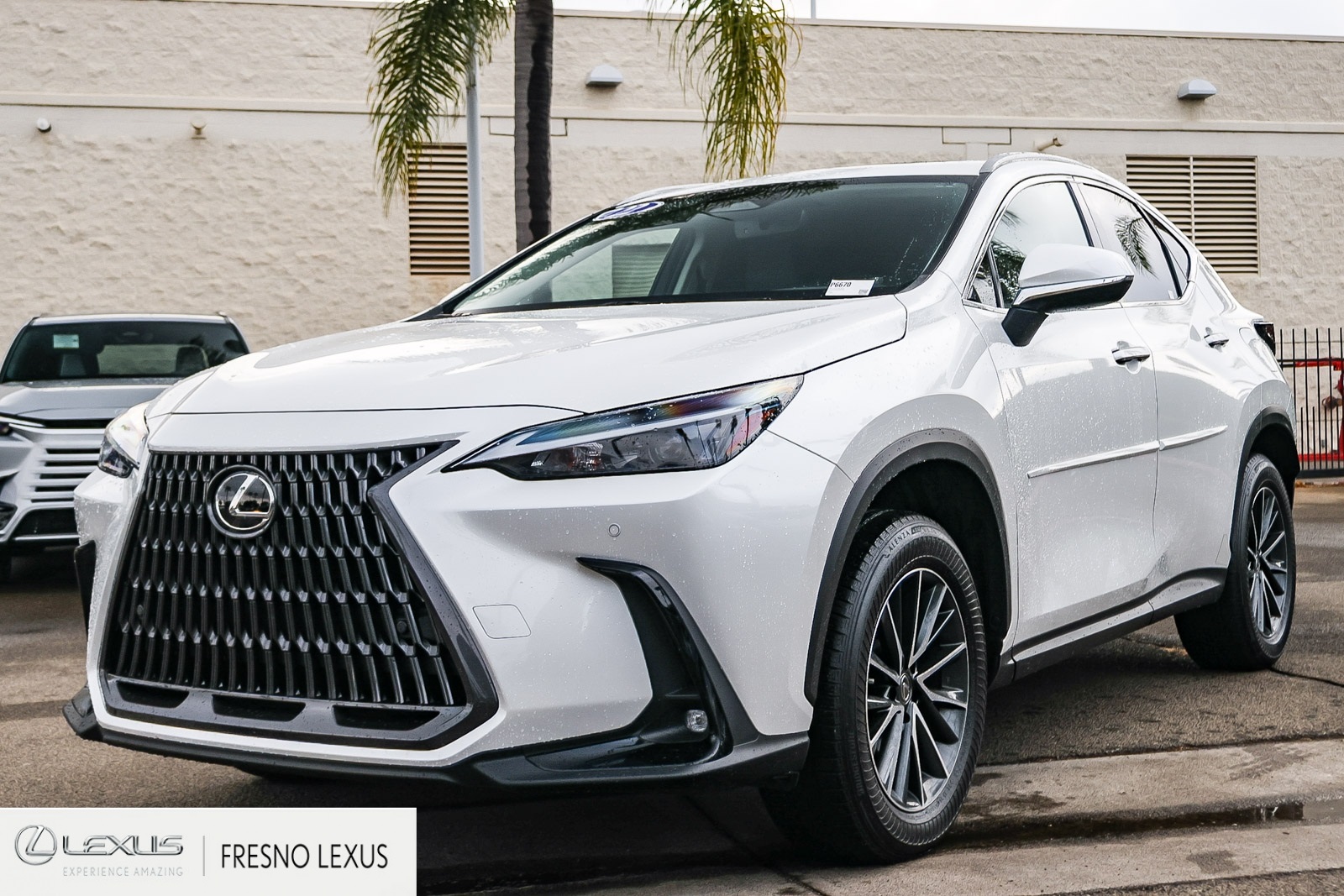 2022 Lexus NX 350h Premium photo 2