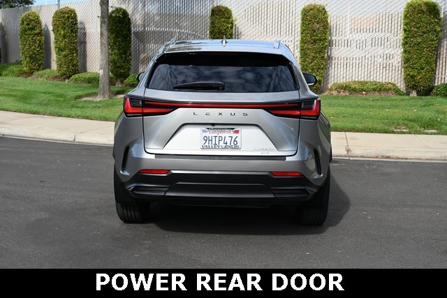 2024 Lexus NX 350h photo 5