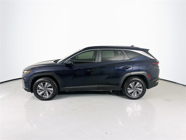 2023 Hyundai Tucson Hybrid Blue photo 4
