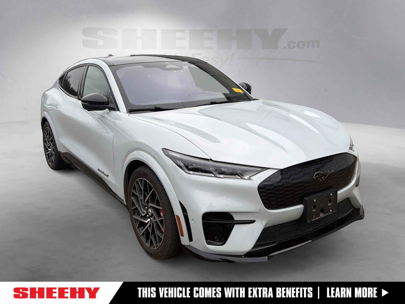 2022 Ford Mustang Mach-E GT AWD's photo