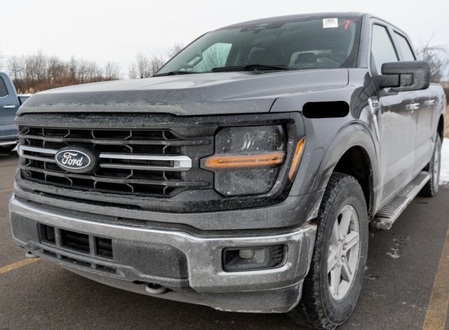 2025 Ford F-150 XLT's photo