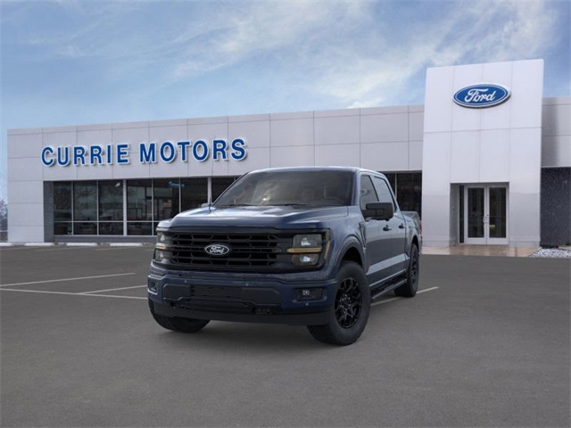 2025 FORD F-150 - Image 24
