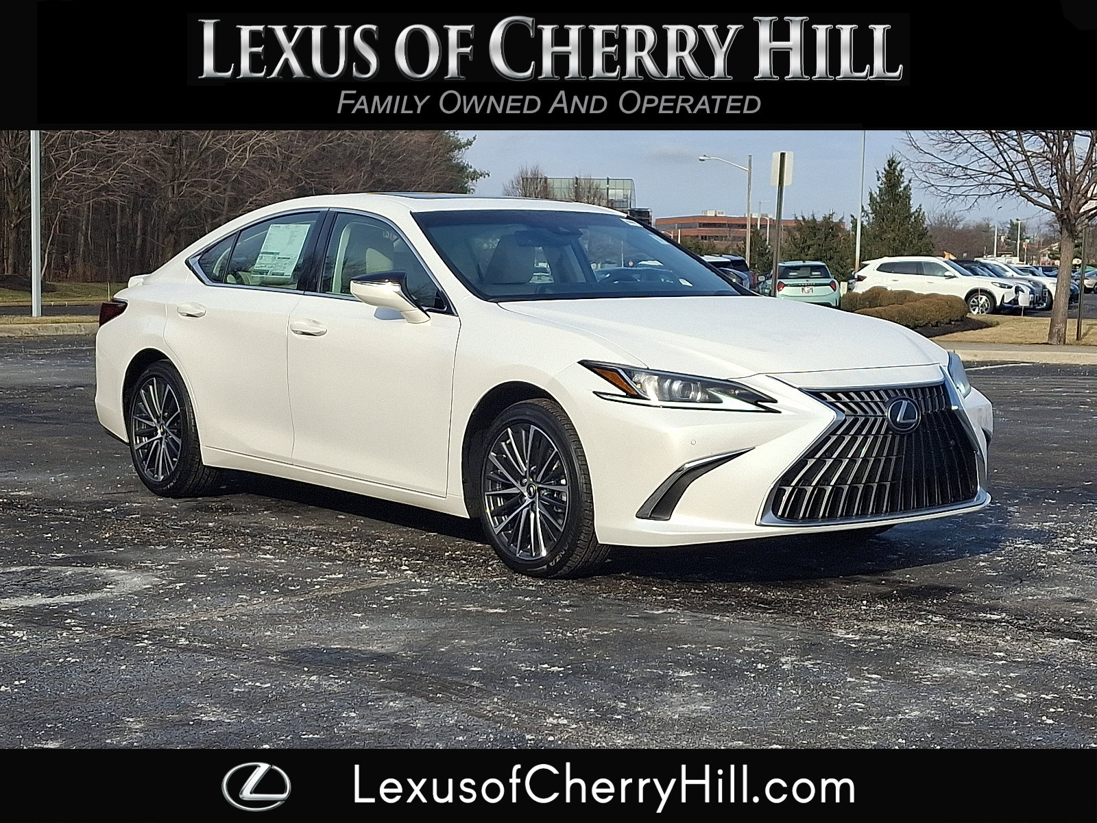 2025 Lexus ES 350's photo
