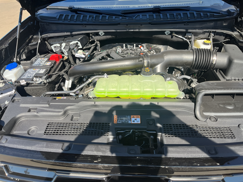 2025 Ford Expedition Platinum MAX photo 21