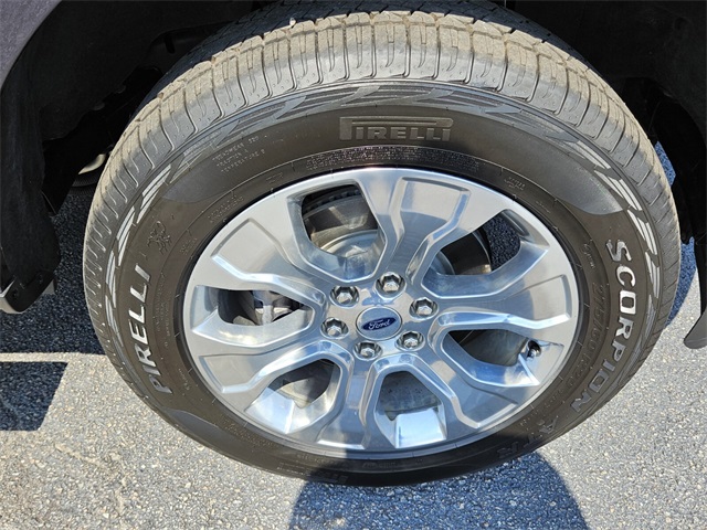 2021 Ford F-150 Platinum photo 18