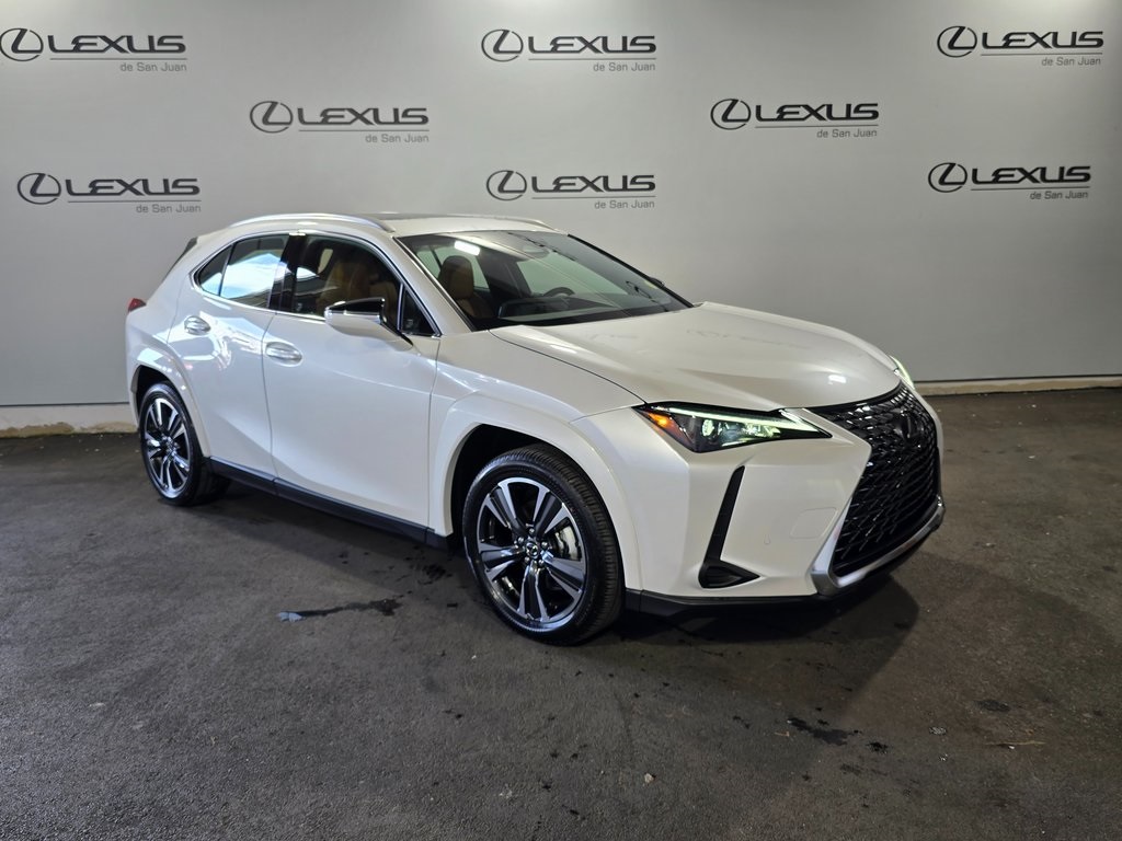 2025 Lexus UX photo 3
