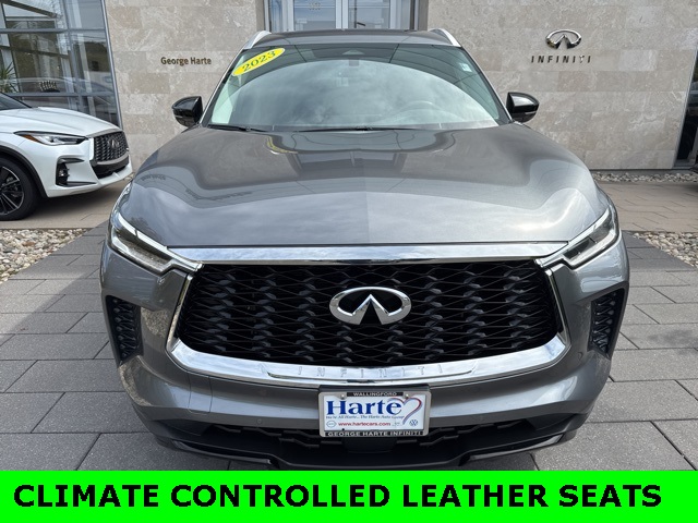 2023 Infiniti QX60 Luxe photo 2