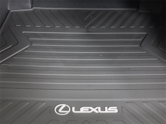 2025 Lexus ES 300h photo 21