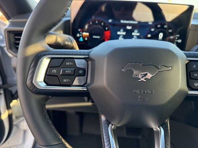 2025 Ford Mustang EcoBoost photo 15