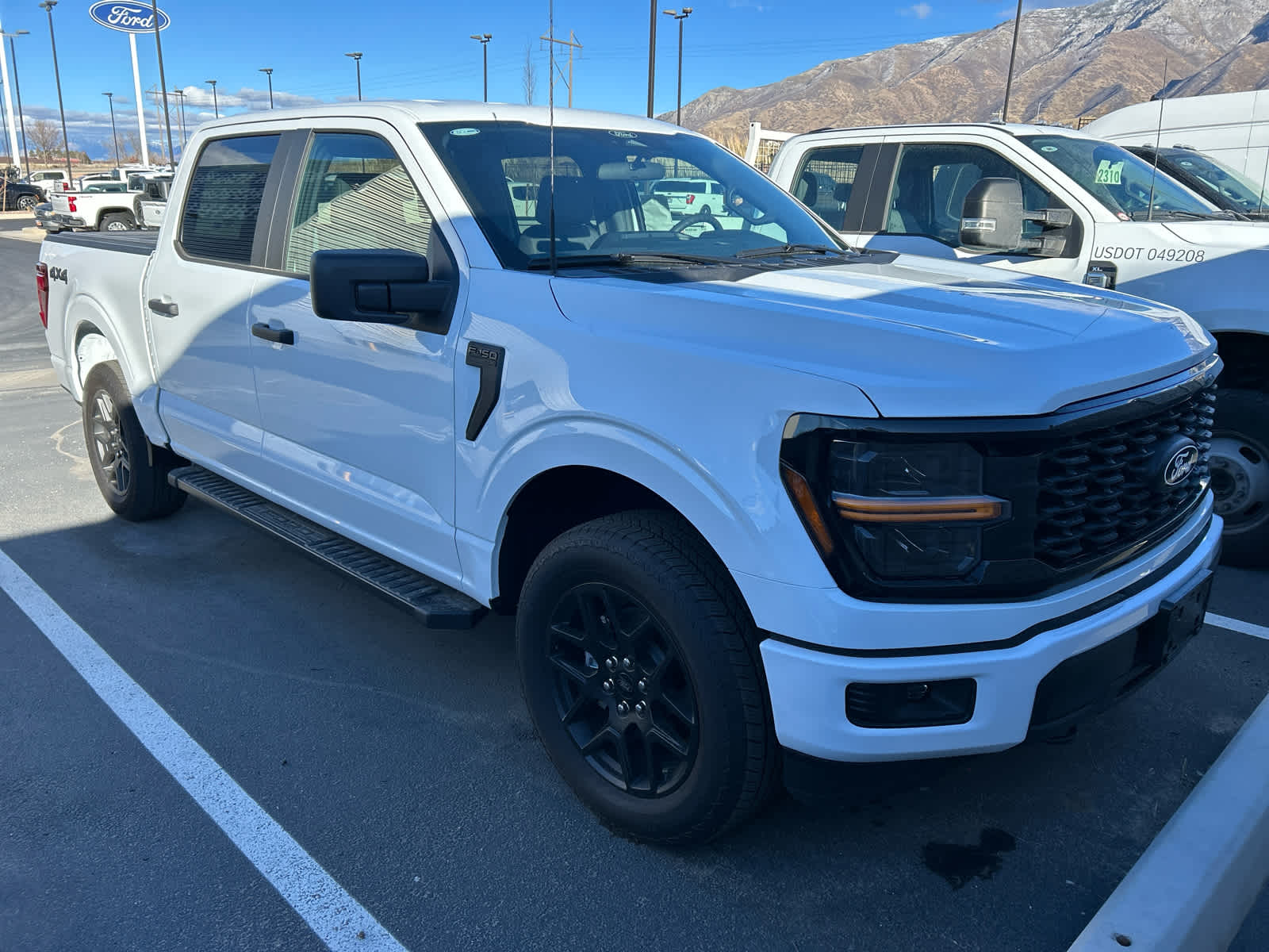 2025 Ford F-150 STX's photo