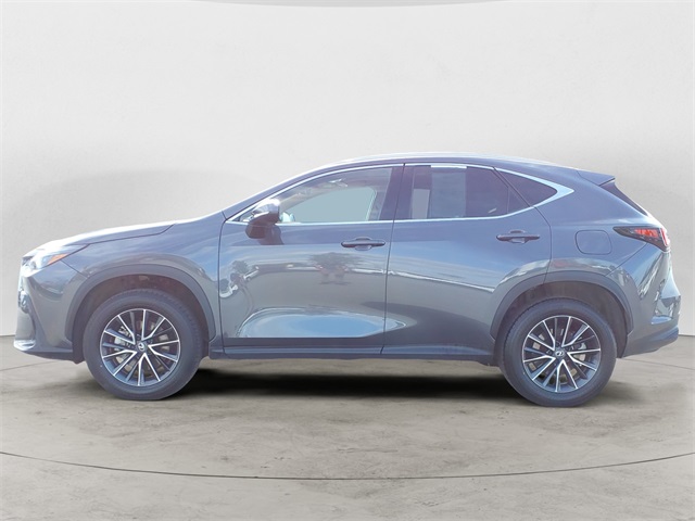 2024 Lexus NX 350h Premium photo 2
