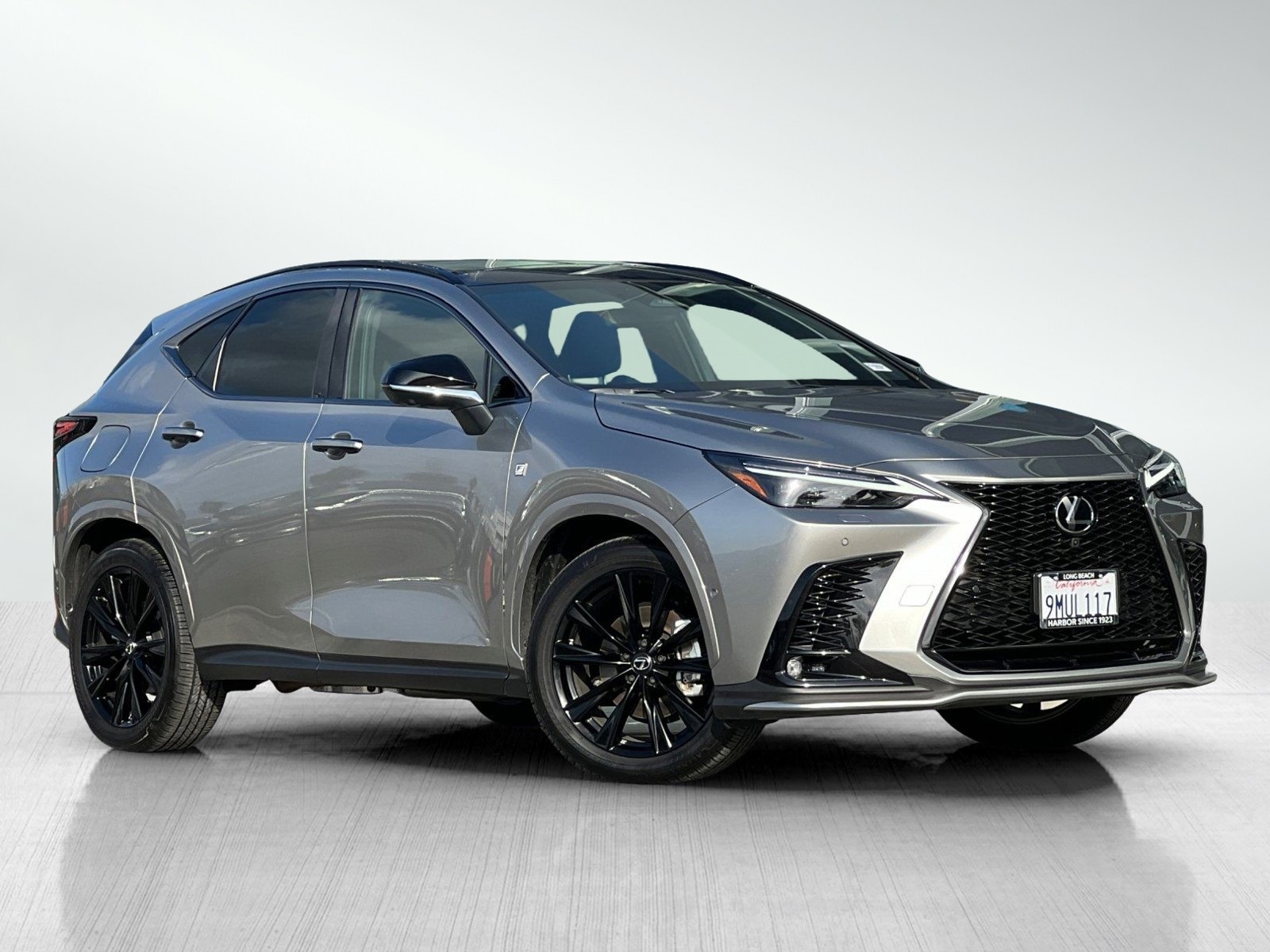 2025 Lexus NX 450h+ F SPORT photo 2